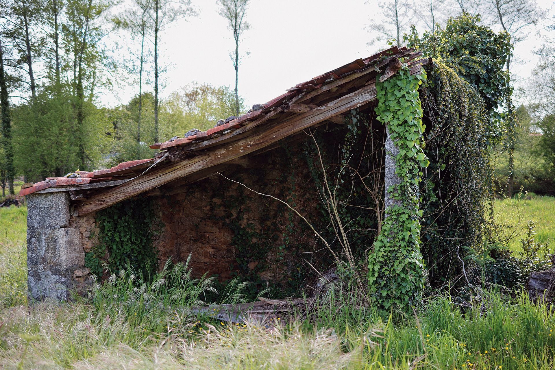 Revista AFRIGA — Informe — Catastrazo