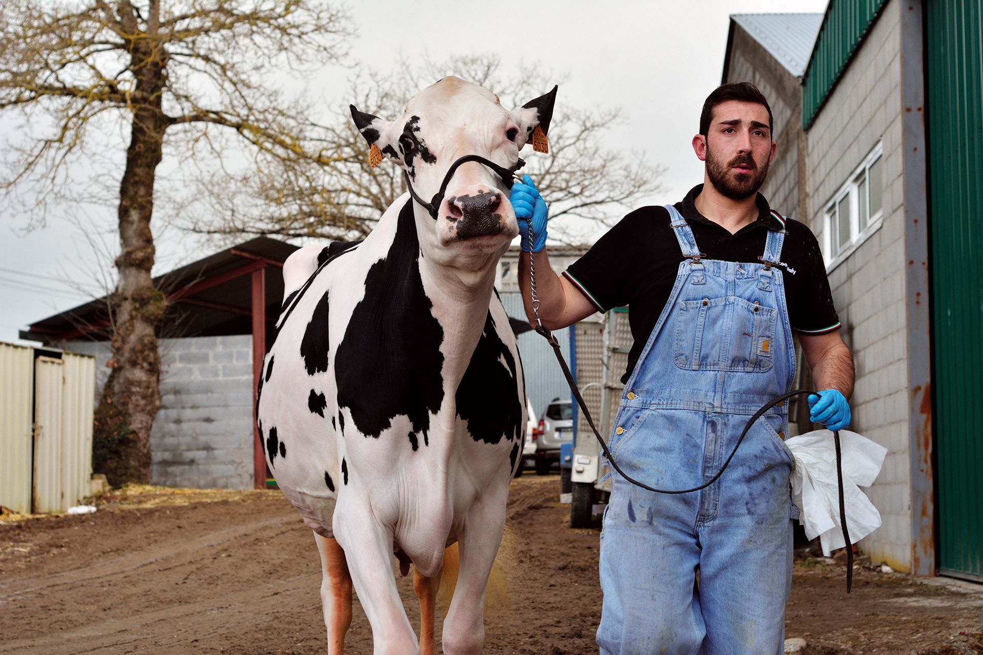 Revista AFRIGA — Moexmu 2018 — Mostra e Exposición de Muimenta