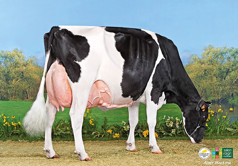 Revista AFRIGA — Actualidad — Micronoticias