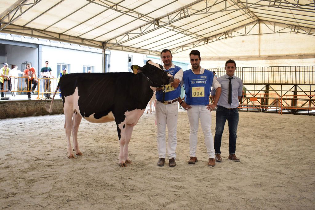 Revista AFRIGA — Feiradeza 2018