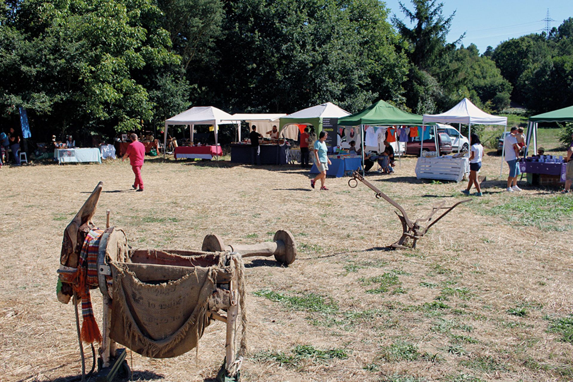 Revista AFRIGA — II Festival Son Labrego