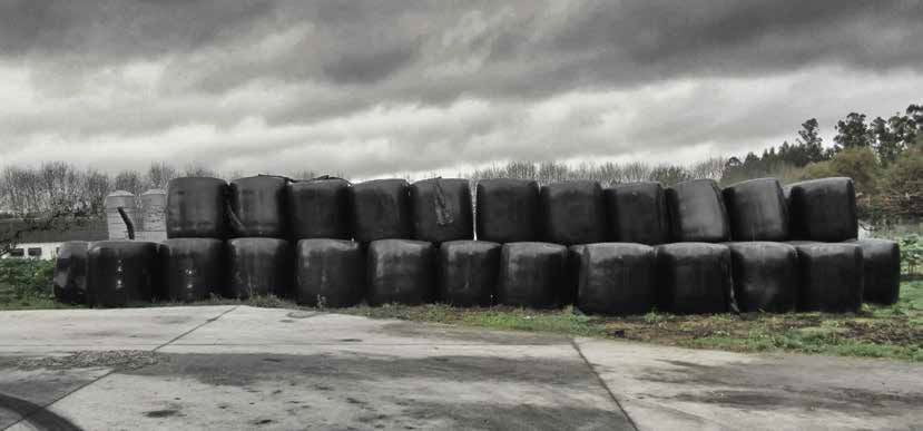 Revista AFRIGA - Instalaciones de la cooperativa Cobideza - Microsilos de maíz