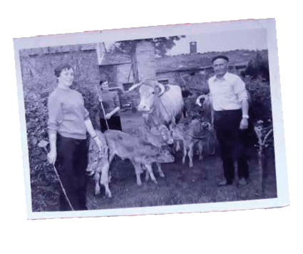 Revista AFRIGA — Entrevista — Ester Cabana | UNA VIDAD DEDICADA A LAS VACAS