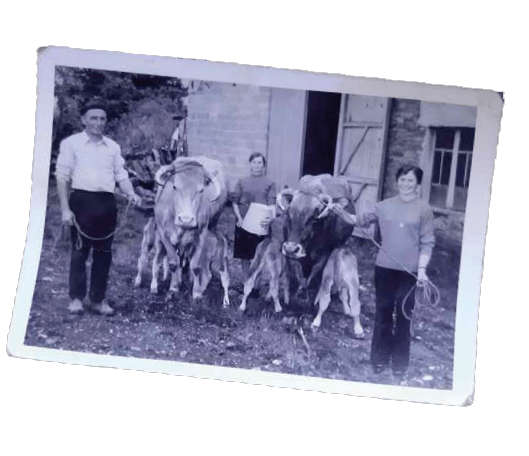 Revista AFRIGA — Entrevista — Ester Cabana | UNA VIDAD DEDICADA A LAS VACAS