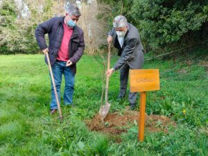 José Luís Chan, el director General de Planificación y Ordenación Forestal inauguró la Semana forestal con una plantación en Ordes, tras realizar un tramo del Camiño Inglés.