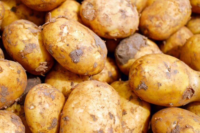 potatoes-2329648_960_720