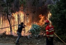 Incendios forestales: el riesgo vuelve con el buen tiempo