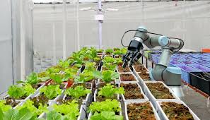 Agroindustria