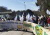 Leche importada y protestas agravan la crisis láctea gallega