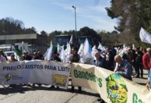 Leche importada y protestas agravan la crisis láctea gallega