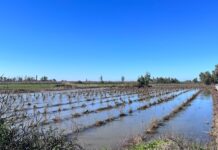 Abre el plazo de ayudas por las borrascas: hasta 25.000 € por explotación