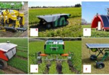 Control de malezas: la revolución tecnológica ya está en el campo