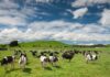 Galicia eleva a 11 millones las ayudas a seguros agrarios