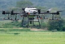 El SLG pide regular el uso de drones fitosanitarios